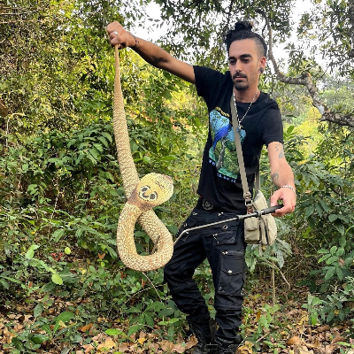 shahaf Wild