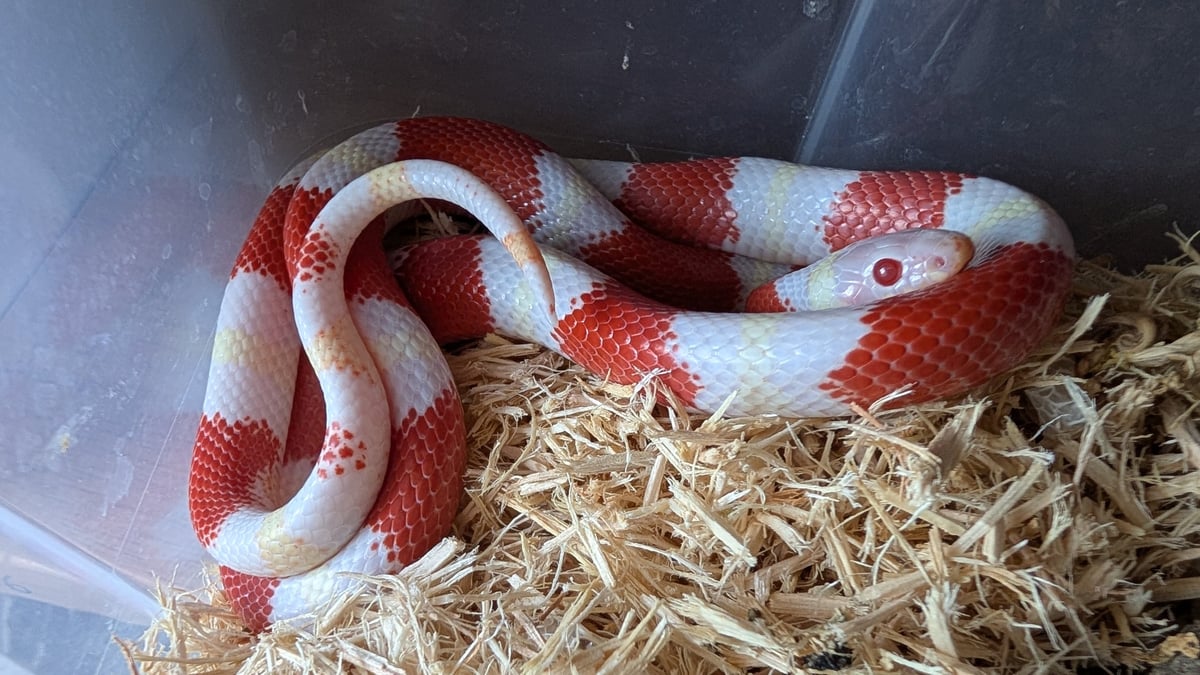 תמונה 4