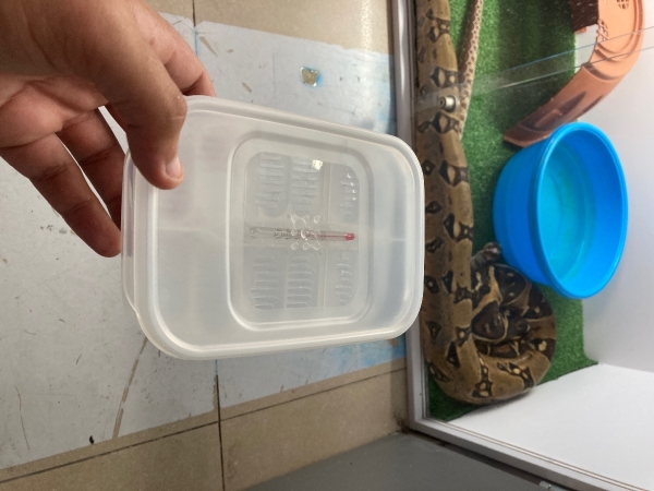 תמונה 3