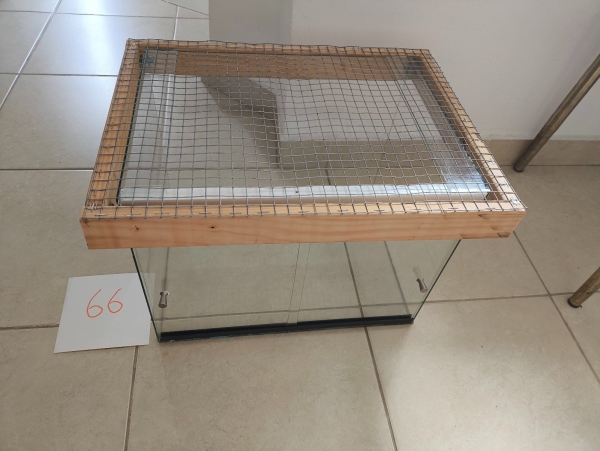 תמונה 2