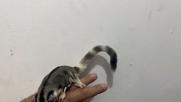 תמונה 4