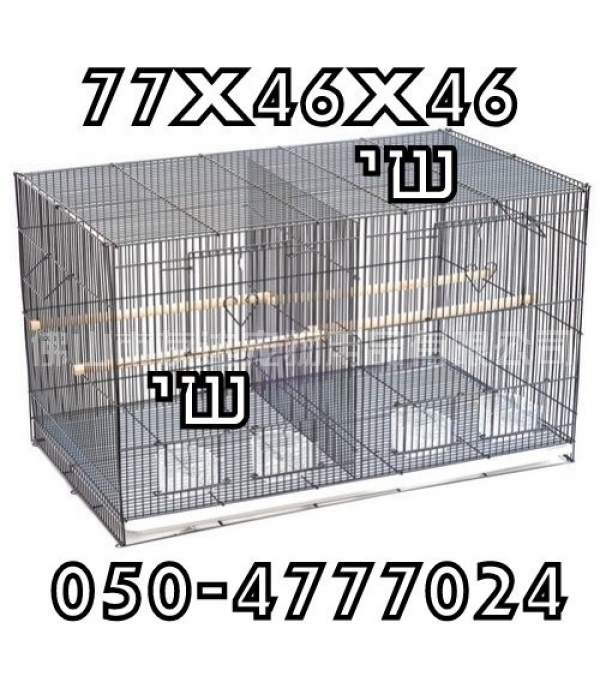 תמונה 2