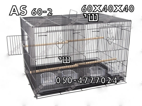 תמונה 3