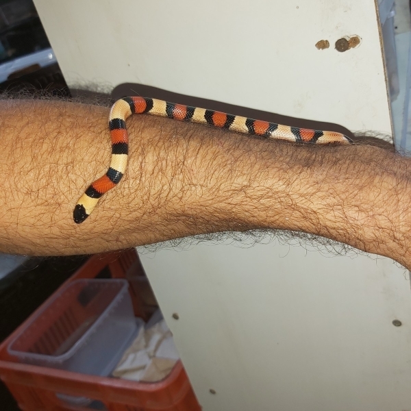 תמונה 4