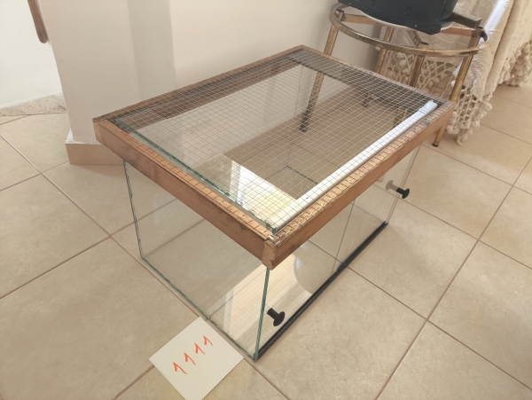 תמונה 3