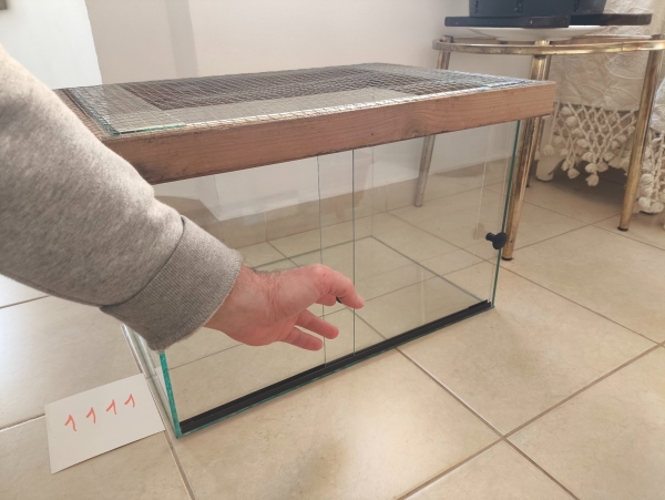 תמונה 4