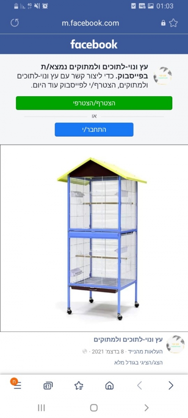 תמונה 6