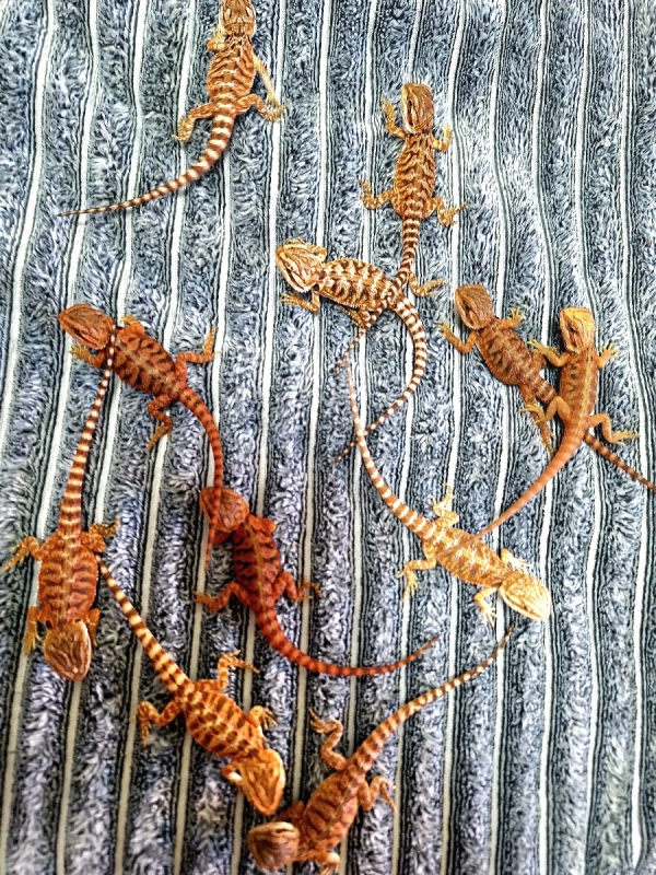 תמונה 6