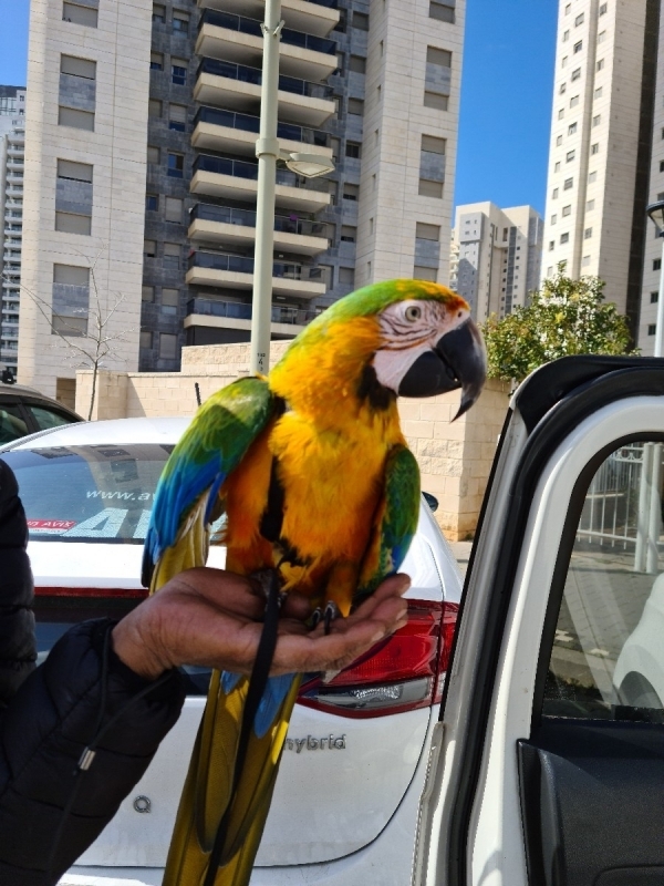 תמונה 3