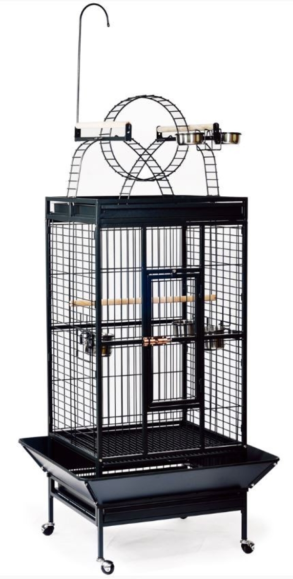 חוות תוכים, הפינה של חי, קוניורים — כלוב A 11