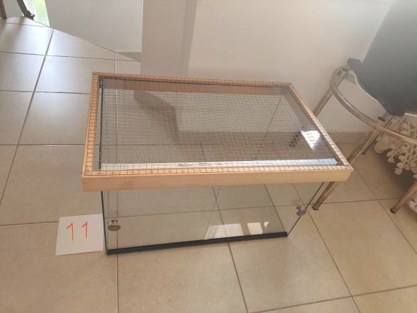 תמונה 2