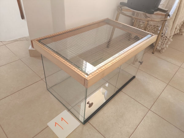 תמונה 3
