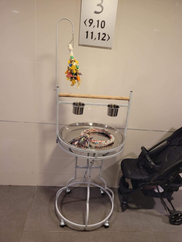 תמונה 5