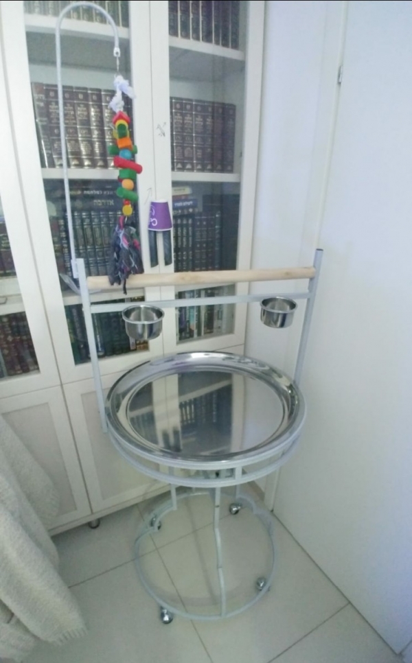 תמונה 8