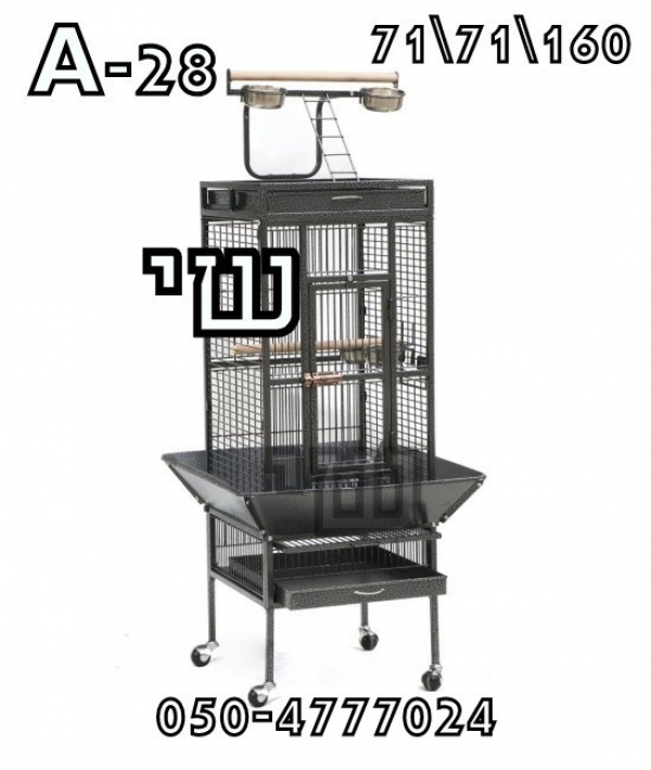 תמונה 4