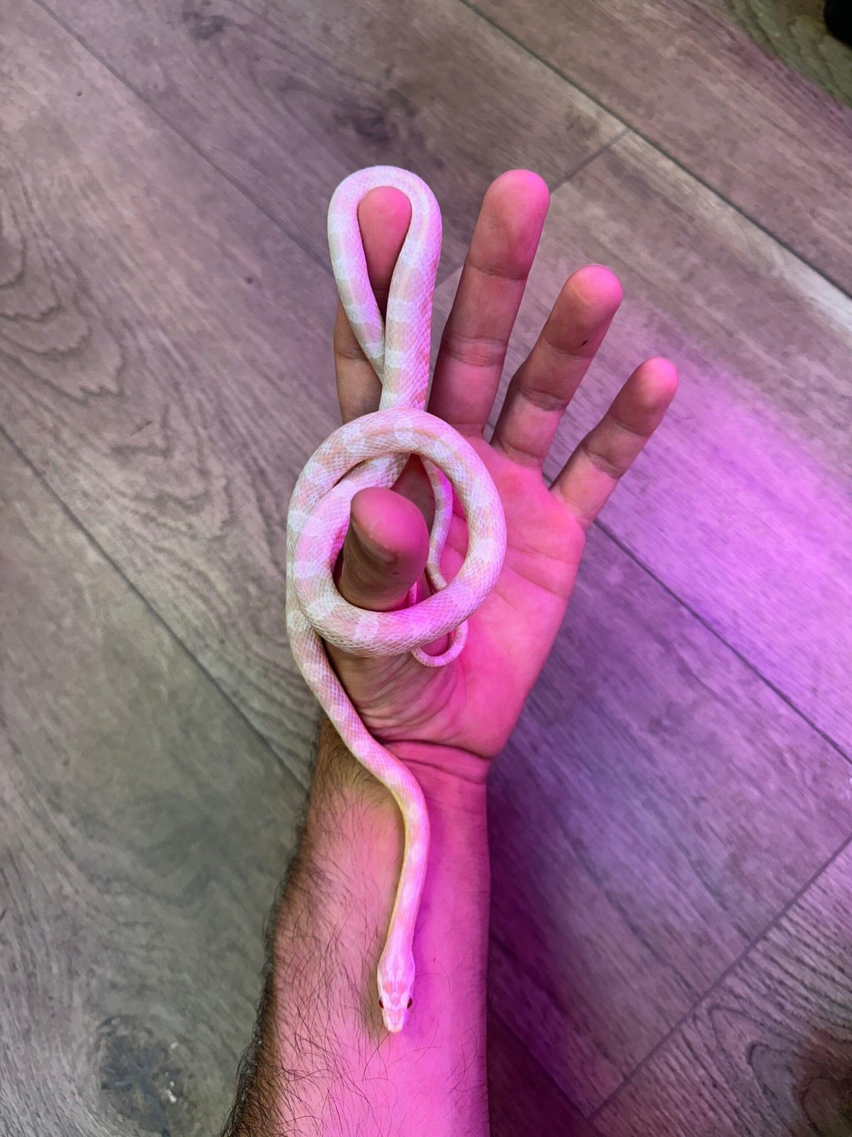 תמונה 4