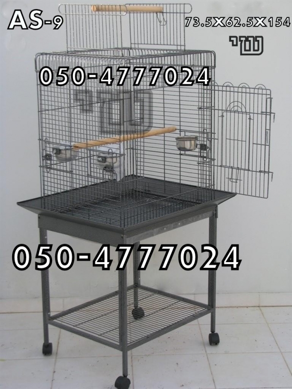 תמונה 2