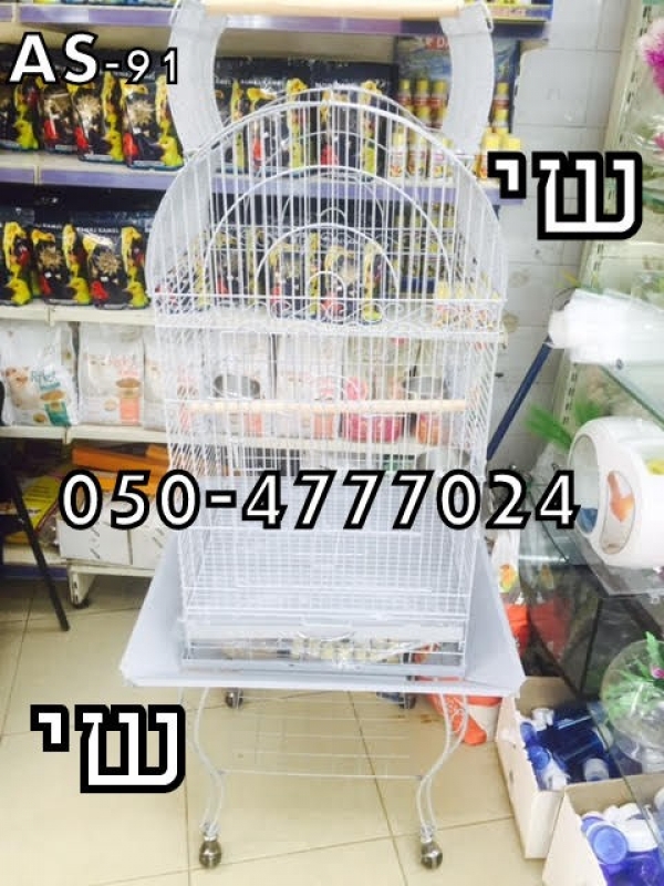 תמונה 3