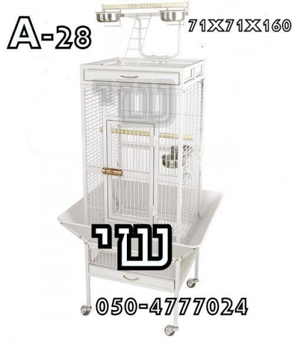 תמונה 5