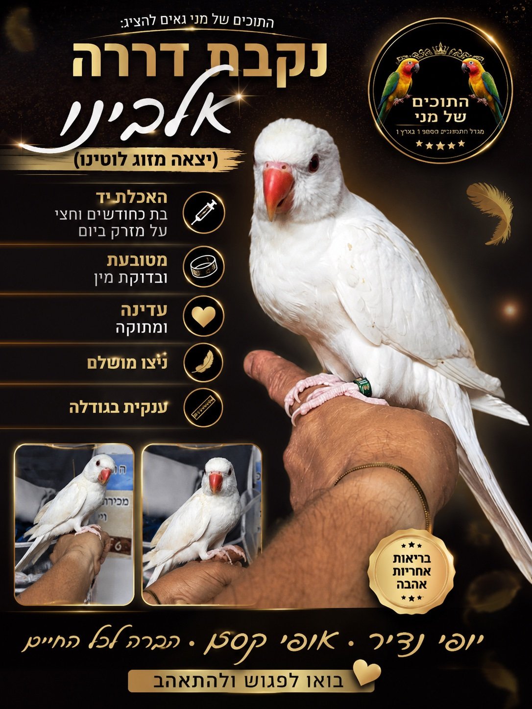 תמונה 4