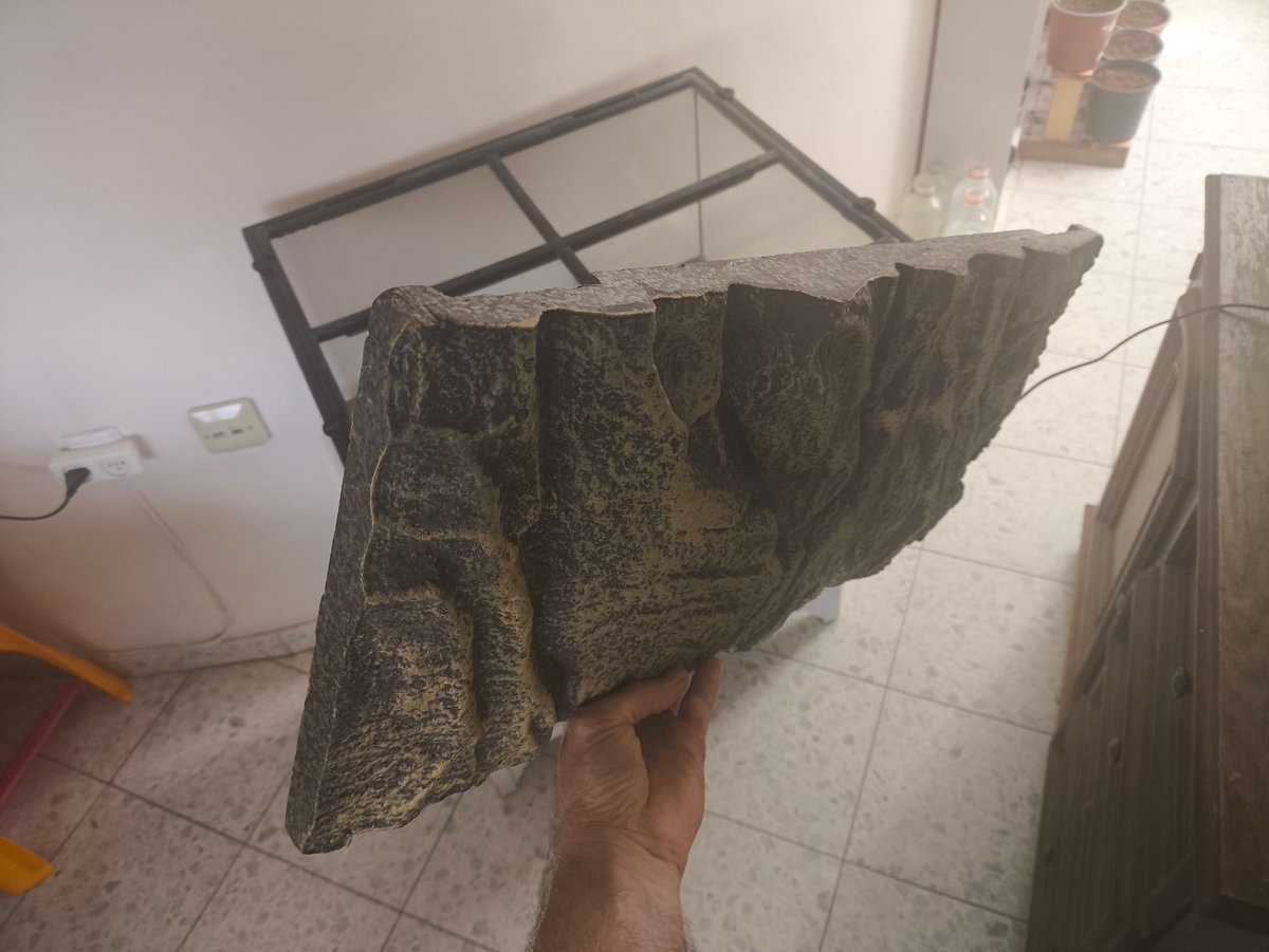 תמונה 8