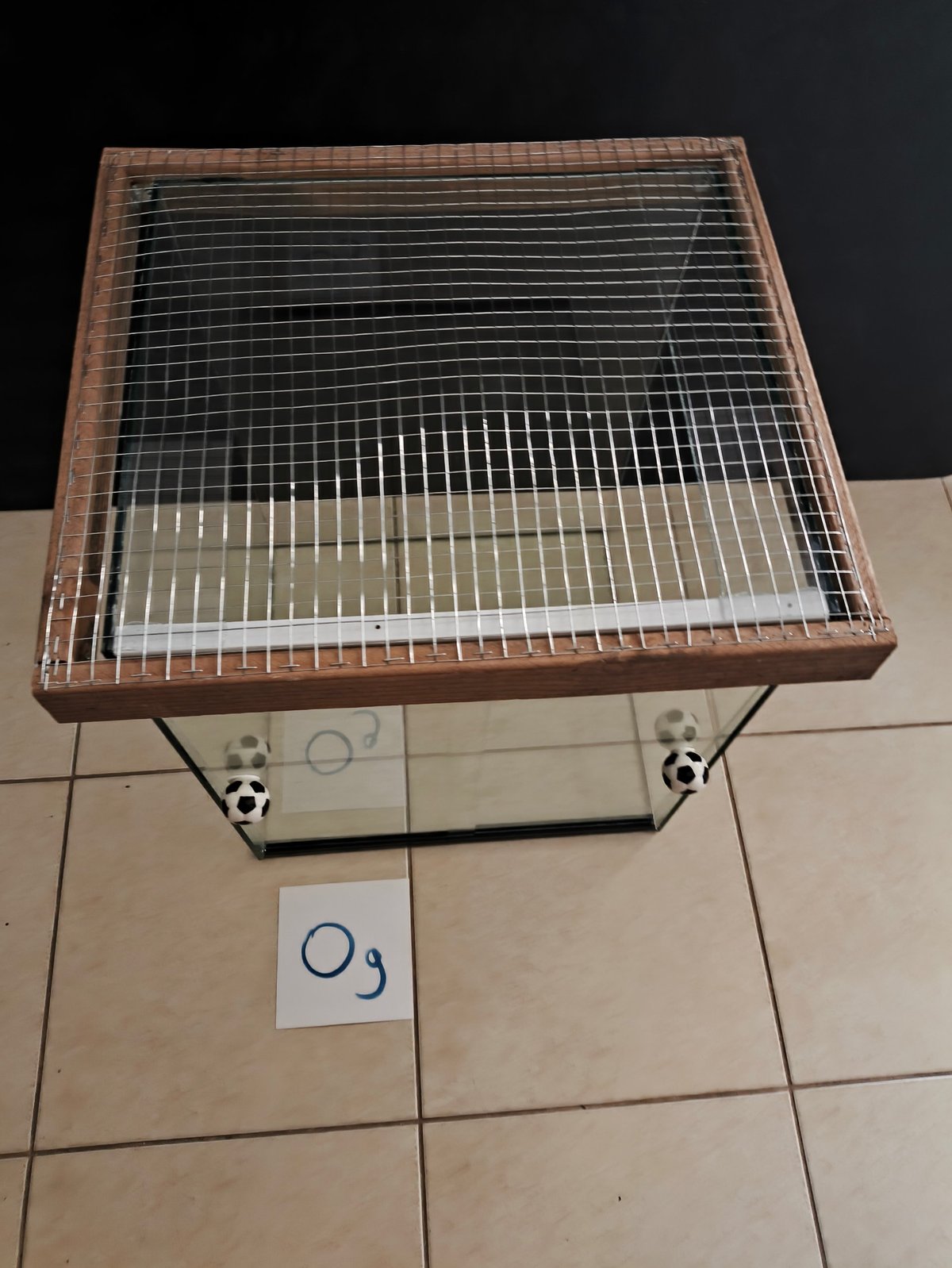 תמונה 2
