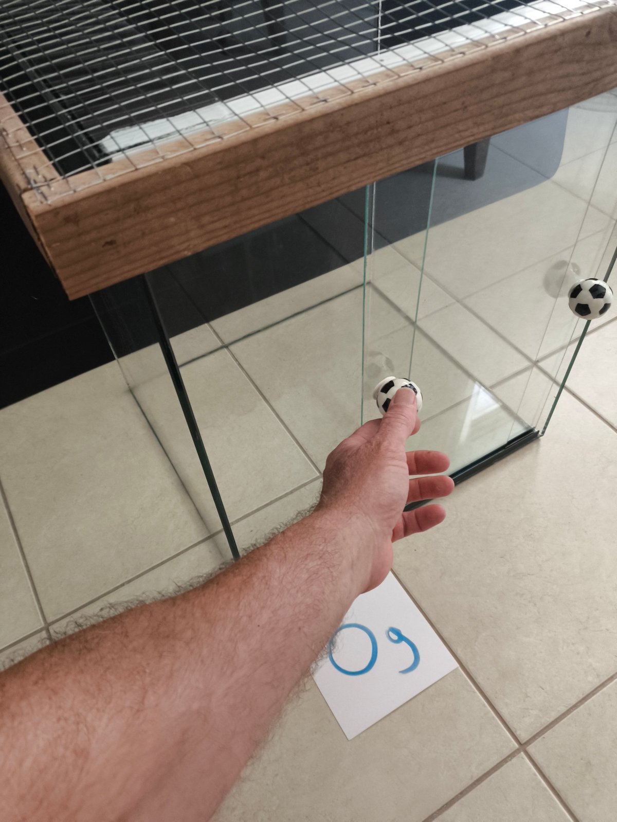 תמונה 4