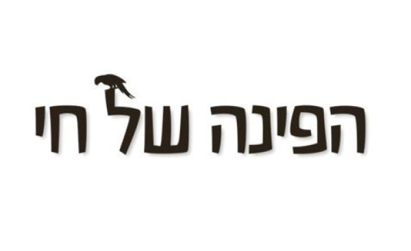 חוות תוכים, הפינה של חי - קקאדו גאלה האכלת יד — https://haiparrots.co.il/