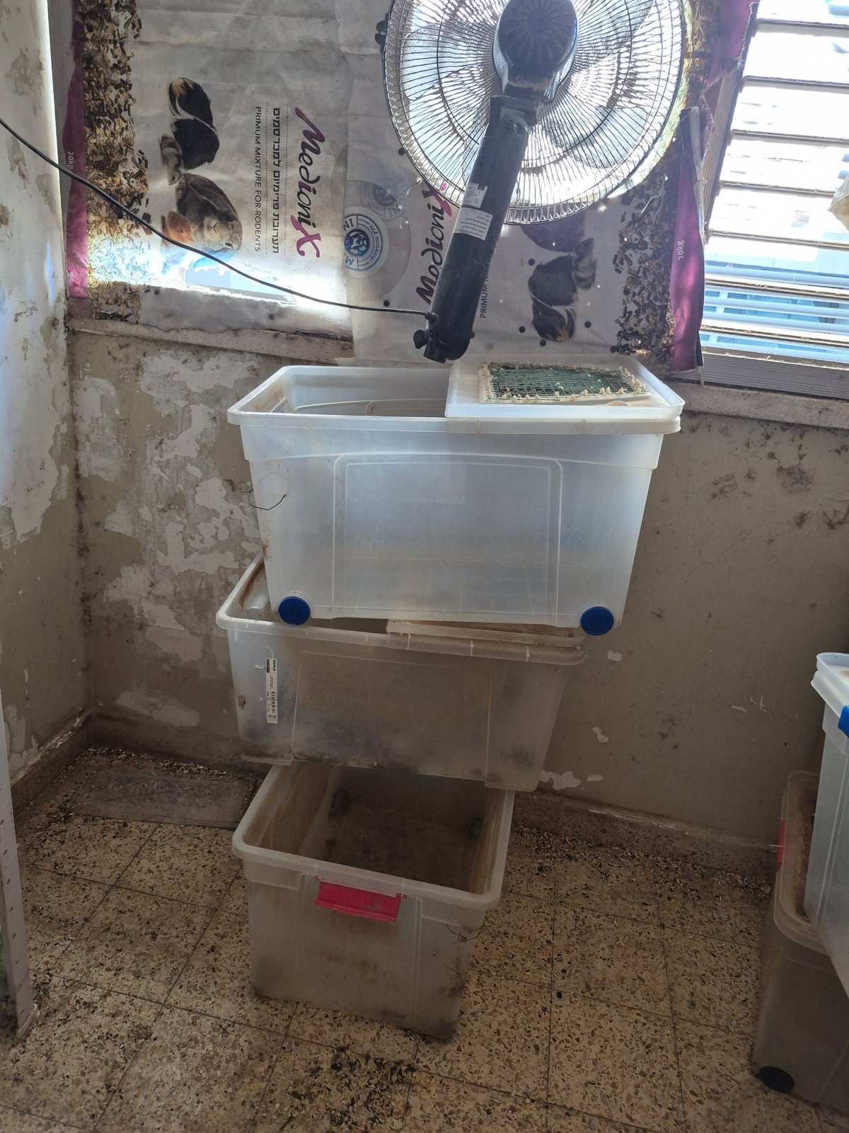 תמונה 2
