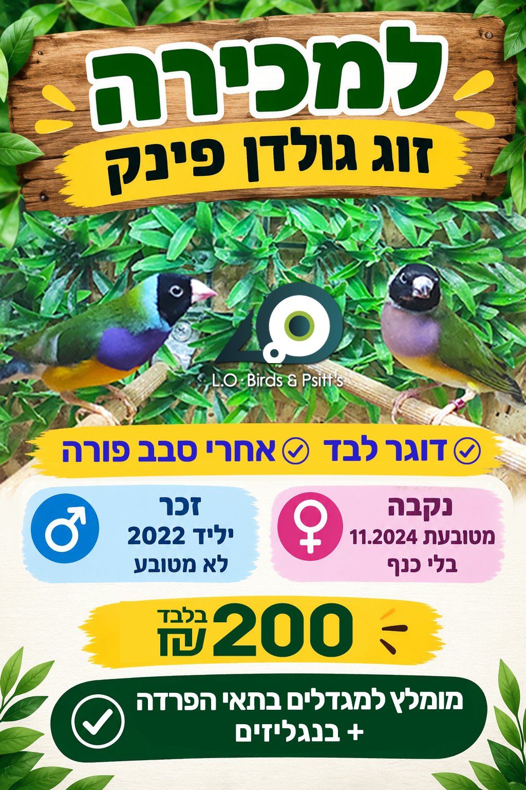 תמונה 2