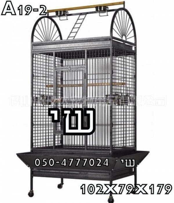 תמונה 2