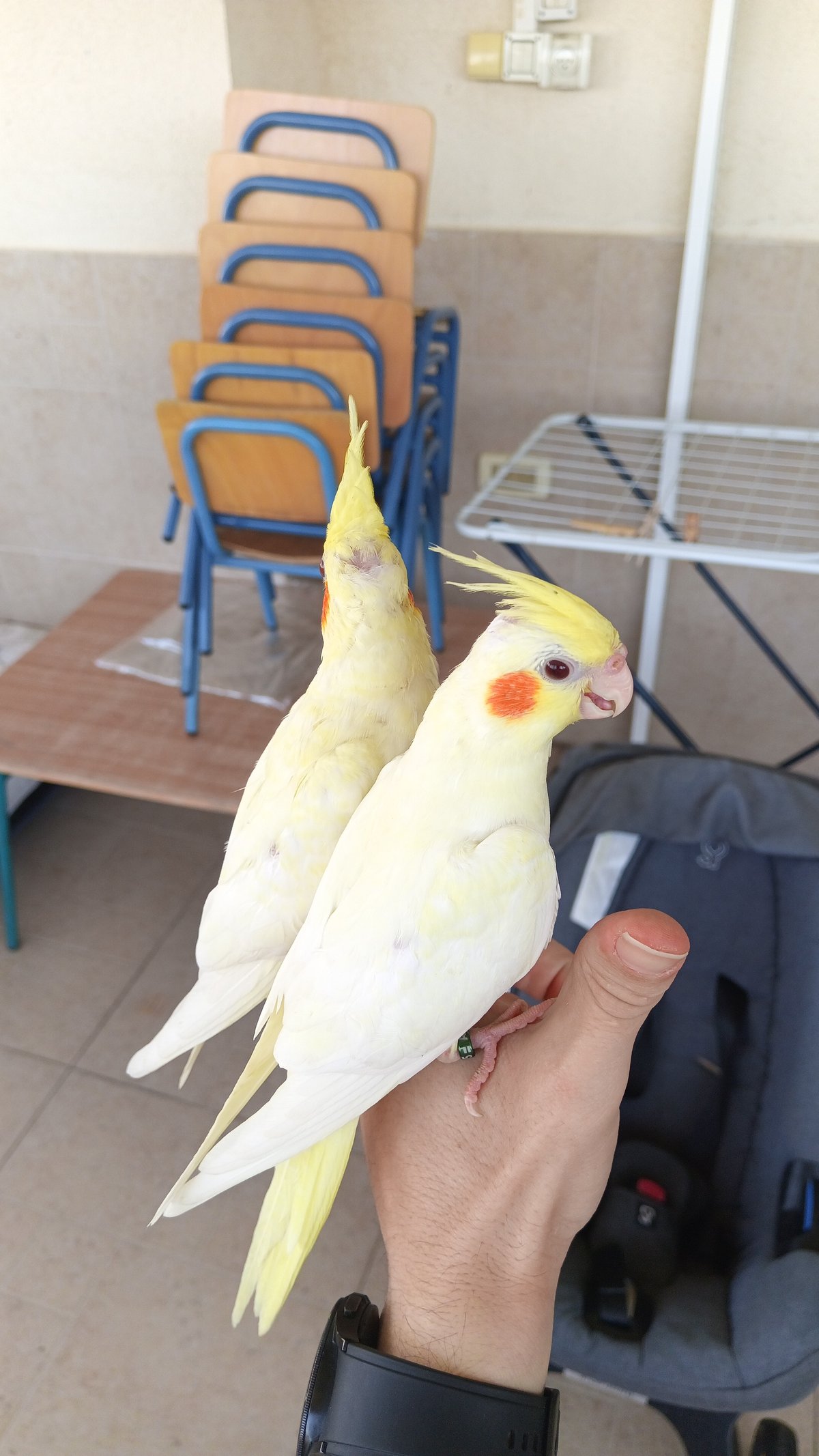 תמונה 3