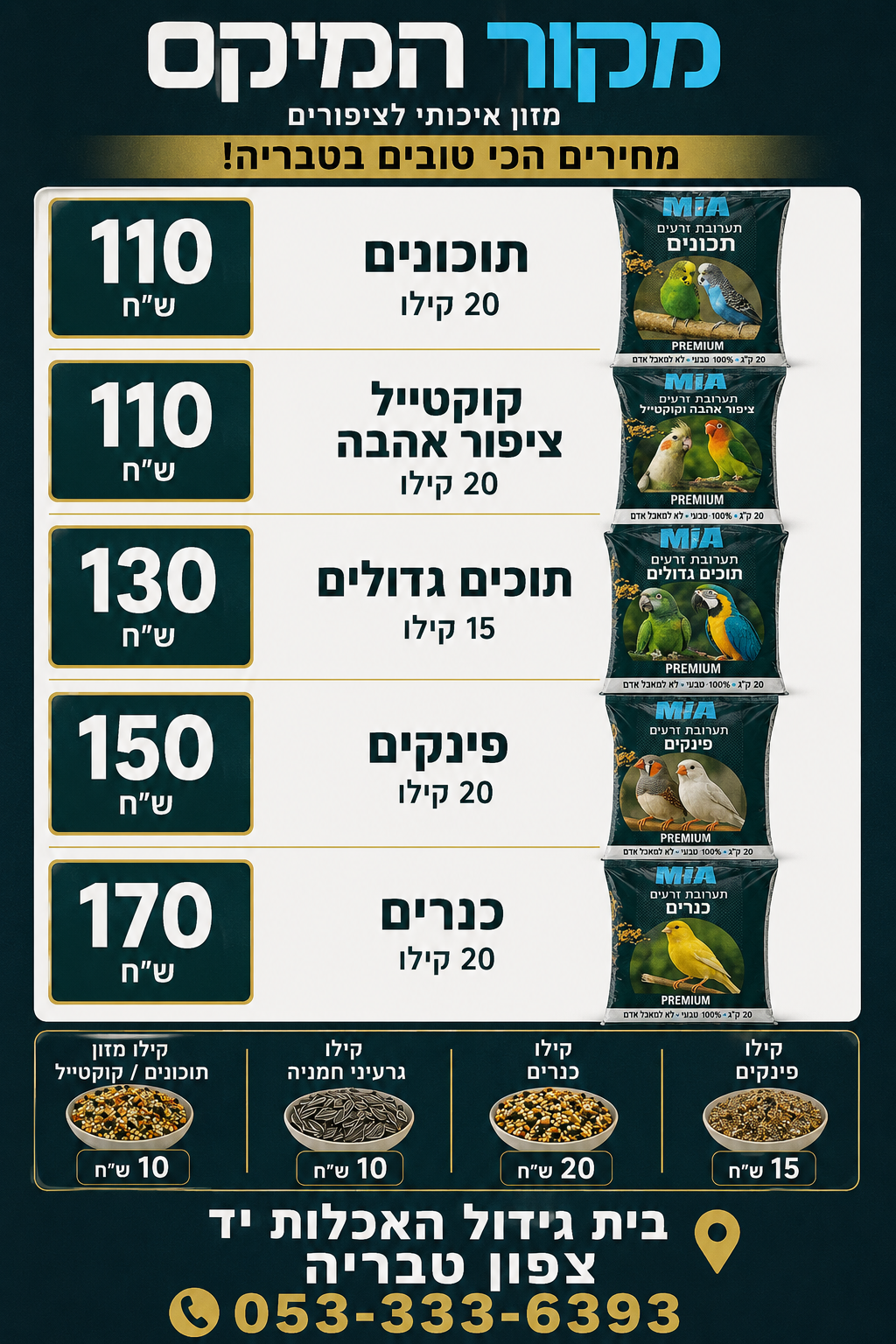 תמונה 2