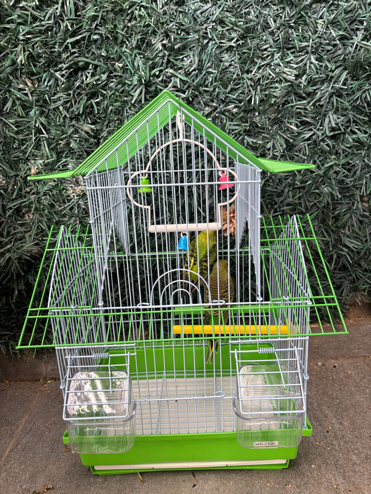 תמונה 3