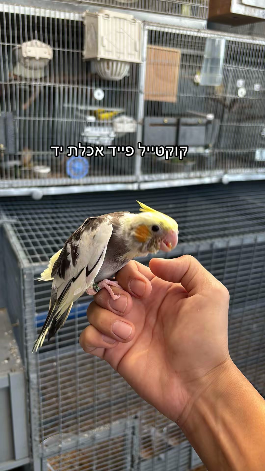תמונה 4