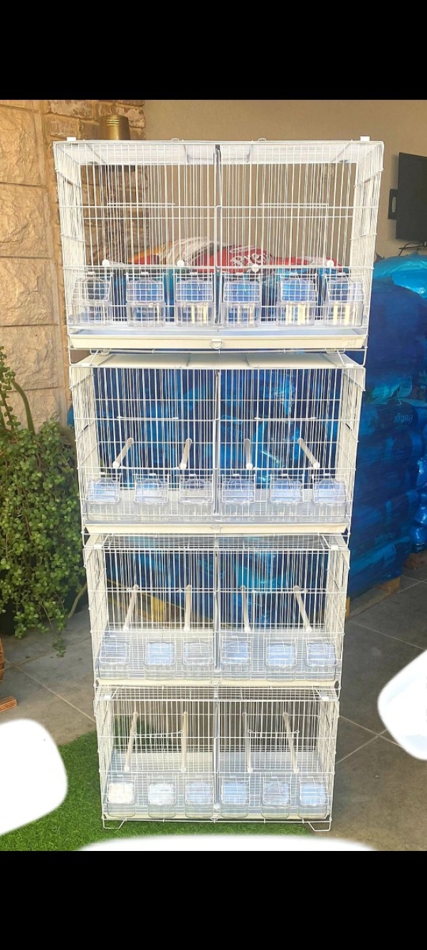 תמונה 2