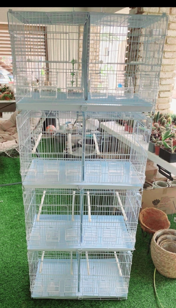 תמונה 3