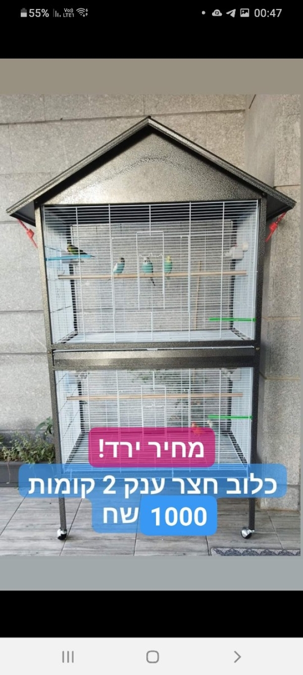 תמונה 6