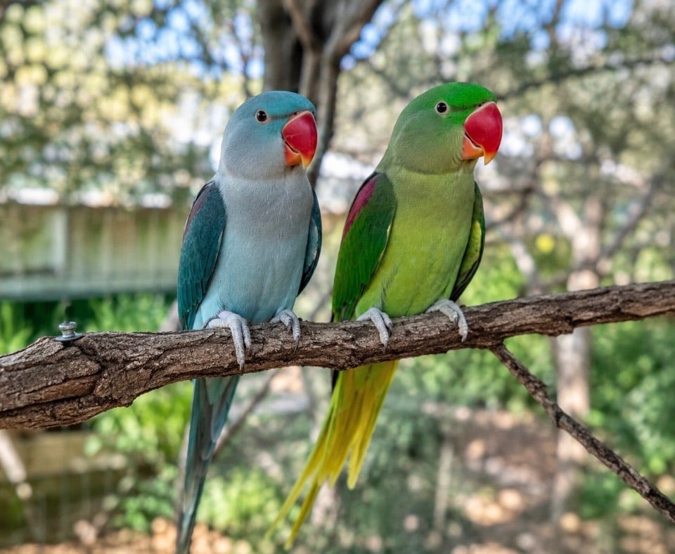 תמונה 2