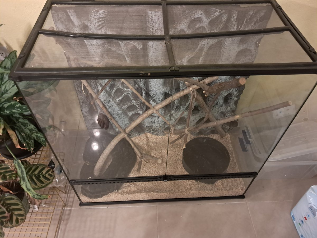 תמונה 4
