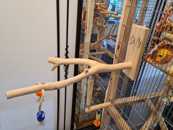 תמונה 7