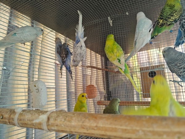 תמונה 2