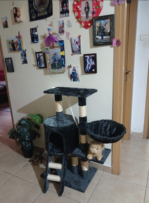 תמונה 15