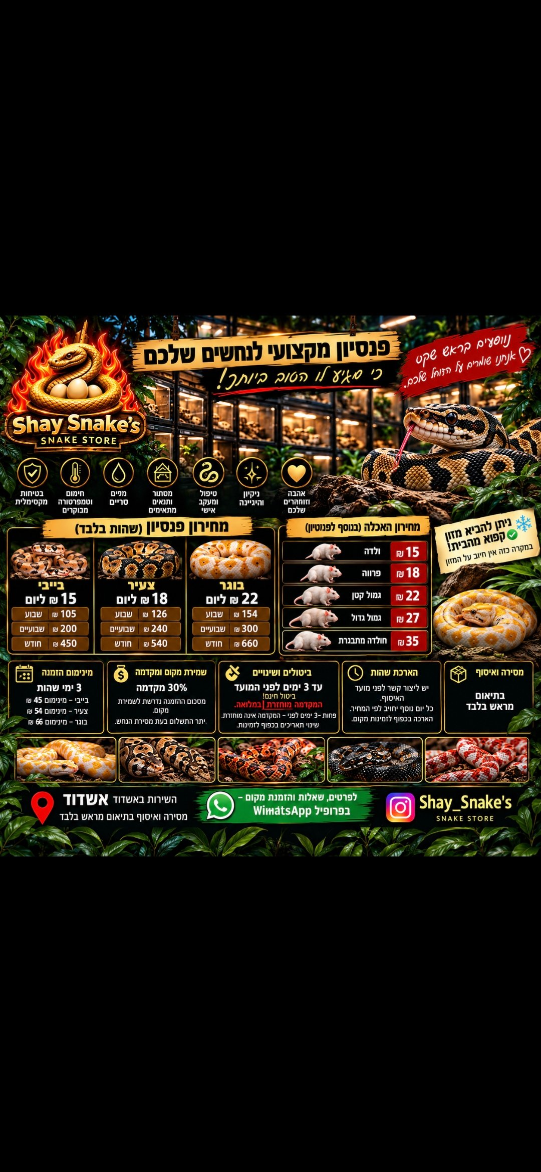 תמונה 1