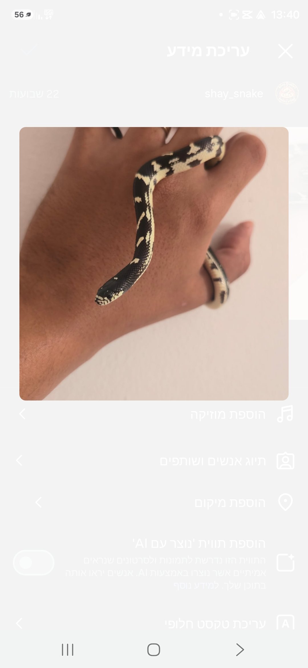 תמונה 3
