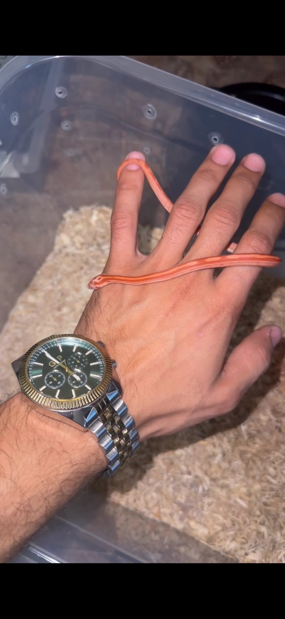 תמונה 5