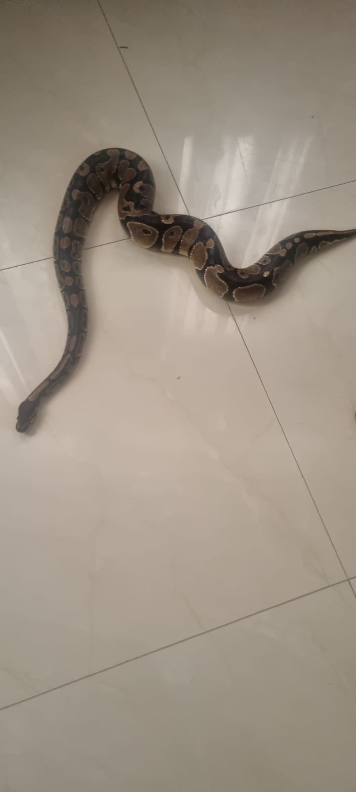 תמונה 4