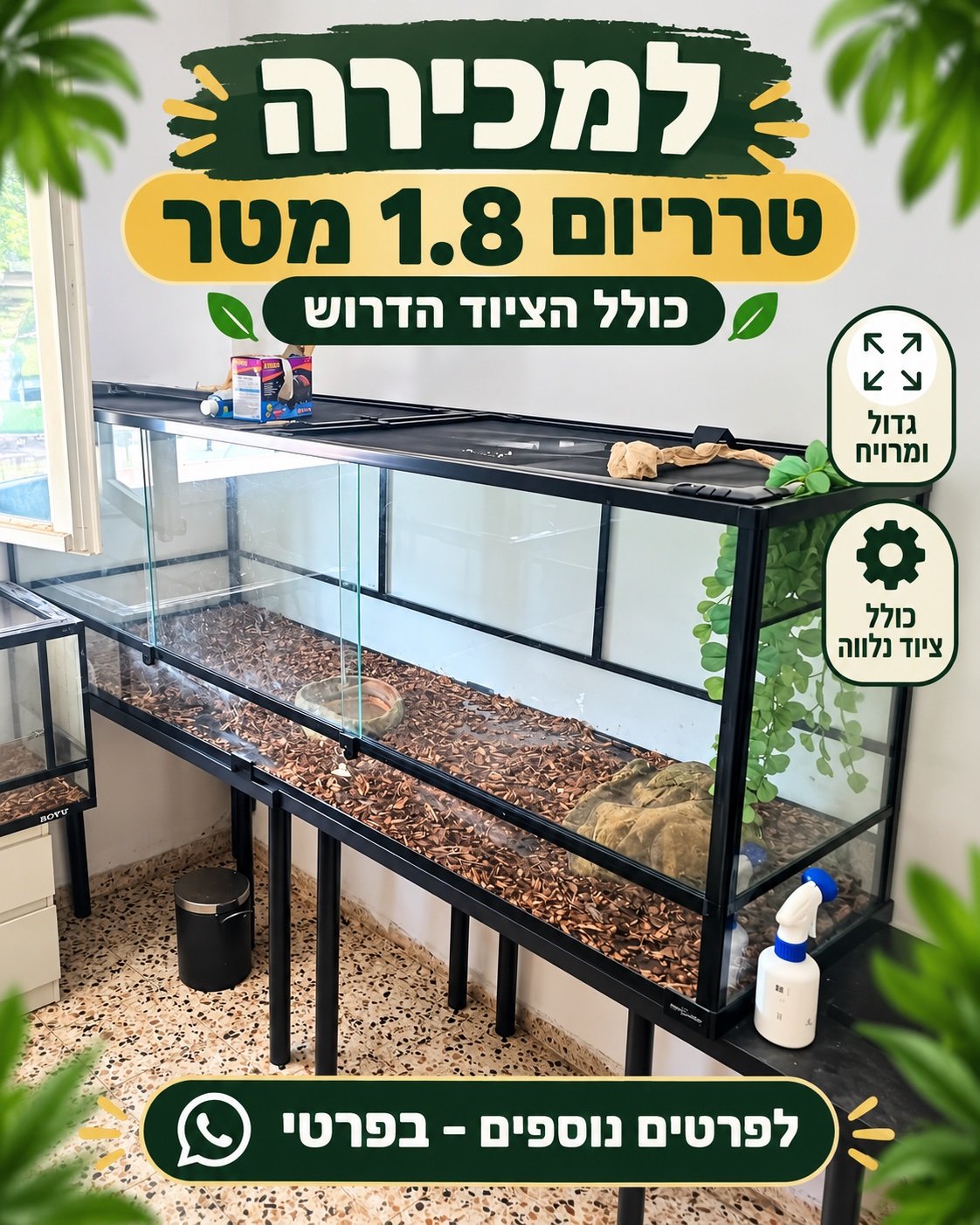 תמונה 2