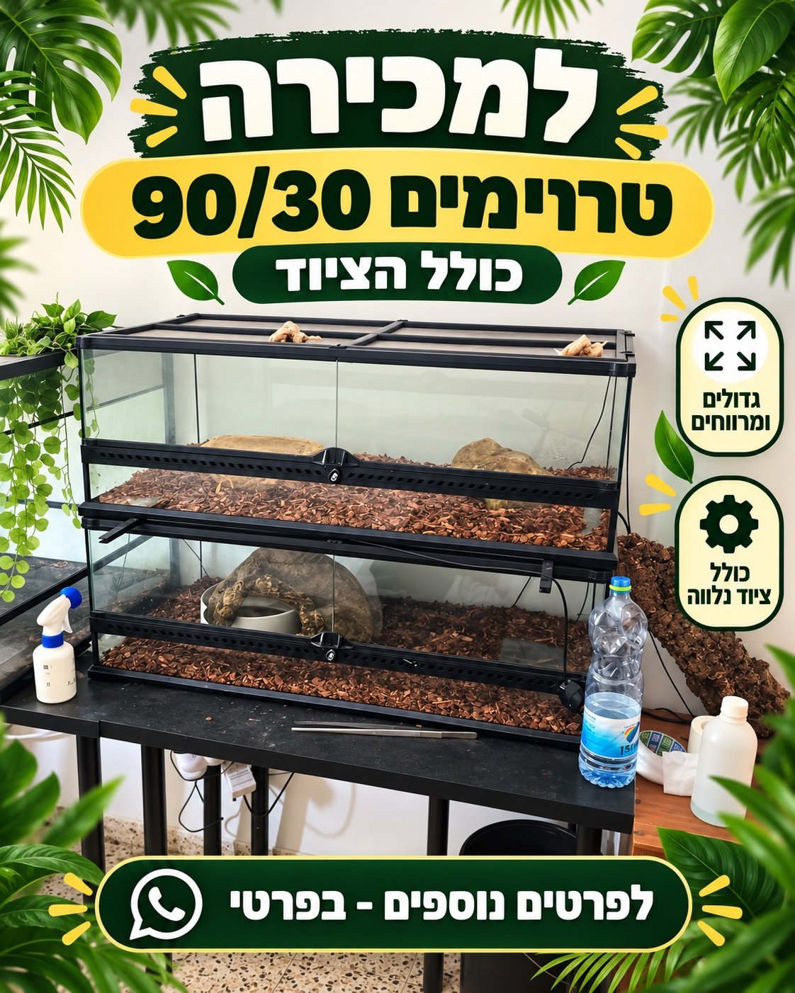תמונה 3