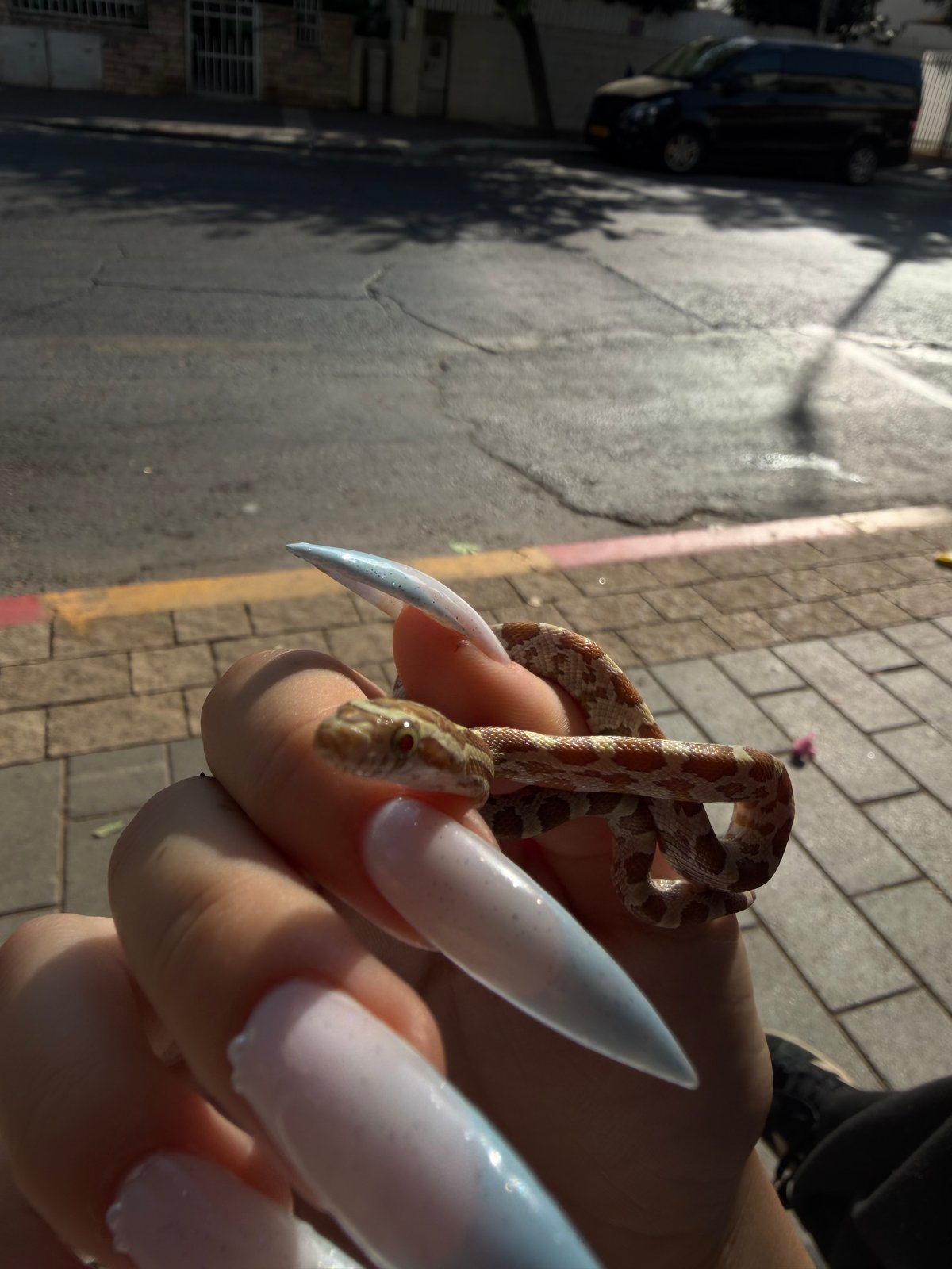 תמונה 3